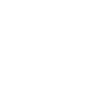 CVT-white