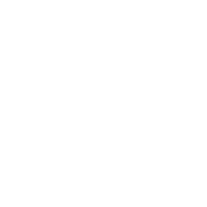 stemcon-logo-WHITE